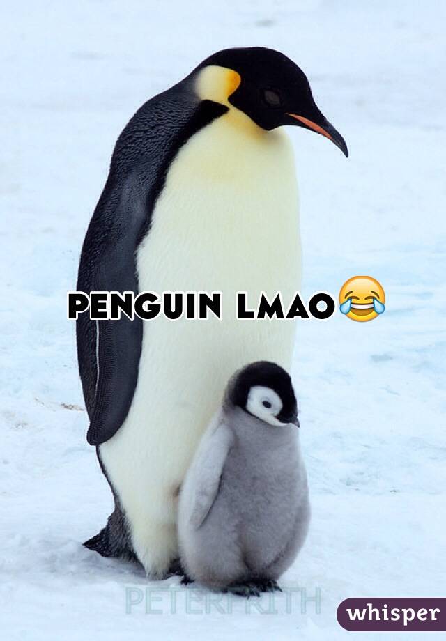 penguin lmao😂