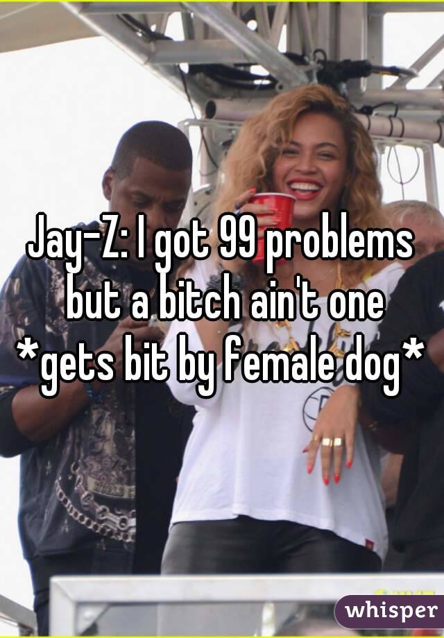 Jay-Z: I got 99 problems but a bitch ain't one
*gets bit by female dog*