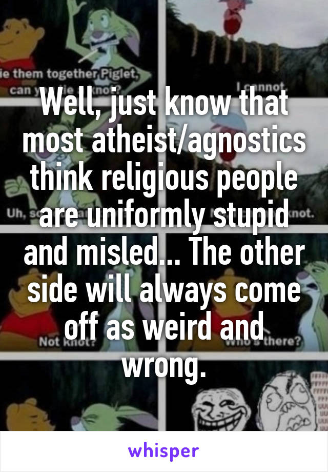 Well, just know that most atheist/agnostics think religious people are uniformly stupid and misled... The other side will always come off as weird and wrong.