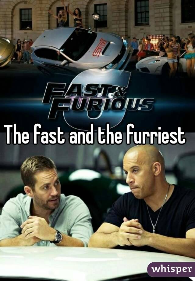 The fast and the furriest 