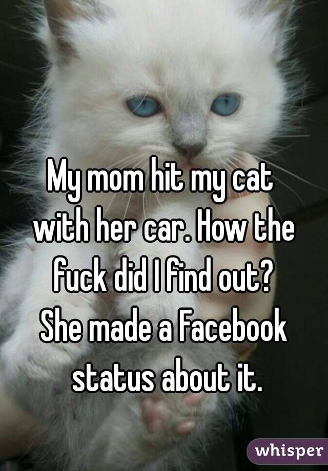 My mom hit my cat 
with her car. How the fuck did I find out? 
She made a Facebook status about it.