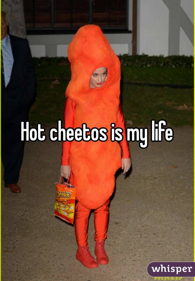 Hot cheetos is my life