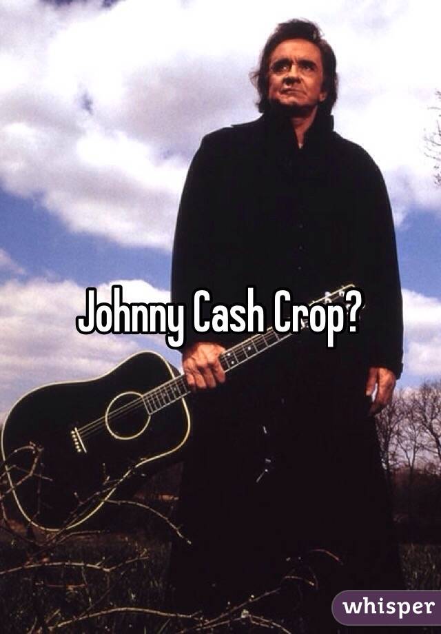 Johnny Cash Crop?