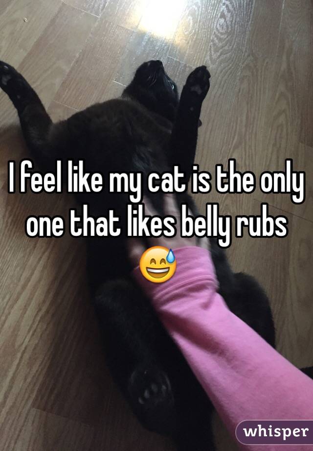 I feel like my cat is the only one that likes belly rubs 😅