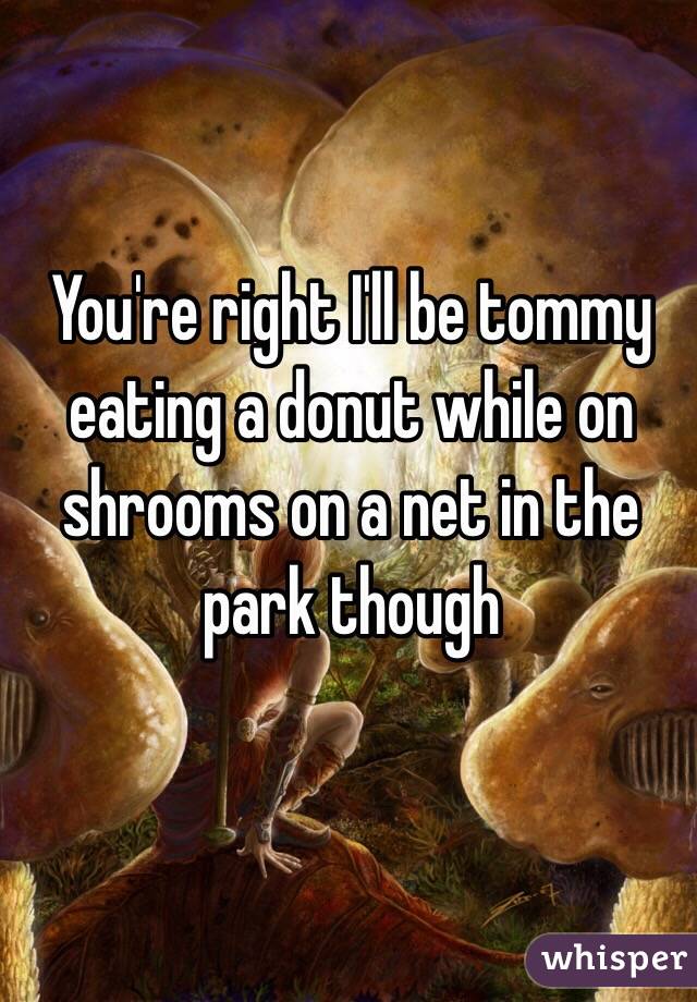 You're right I'll be tommy eating a donut while on shrooms on a net in the park though
