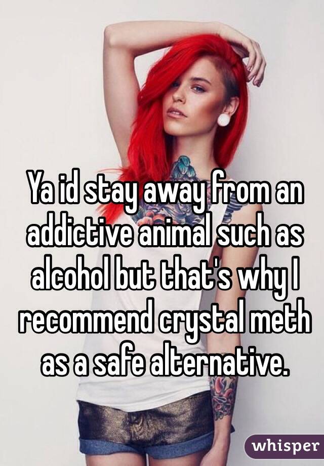 Ya id stay away from an addictive animal such as alcohol but that's why I recommend crystal meth as a safe alternative.