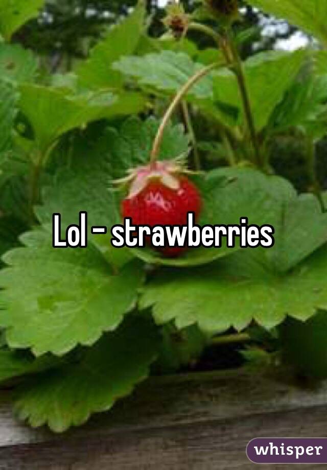 Lol - strawberries