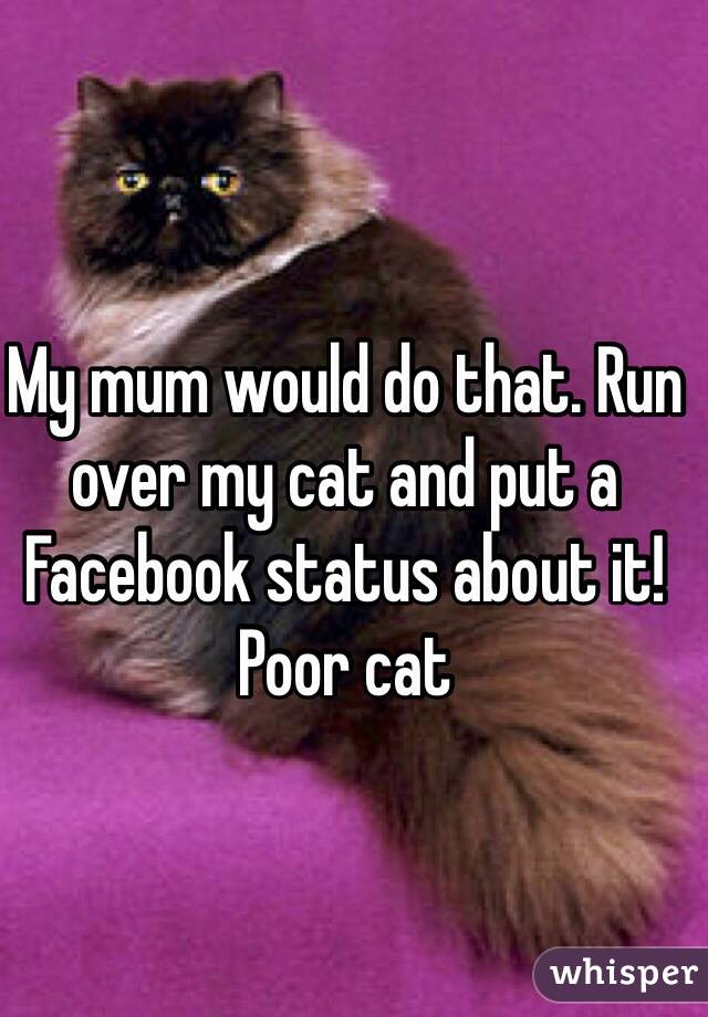My mum would do that. Run over my cat and put a Facebook status about it! Poor cat 