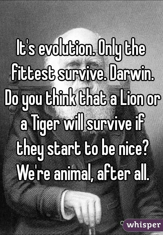 It's evolution. Only the fittest survive. Darwin. Do you think that a Lion or a Tiger will survive if they start to be nice? We're animal, after all.