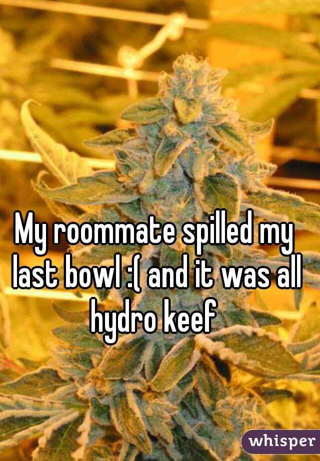 My roommate spilled my last bowl :( and it was all hydro keef 