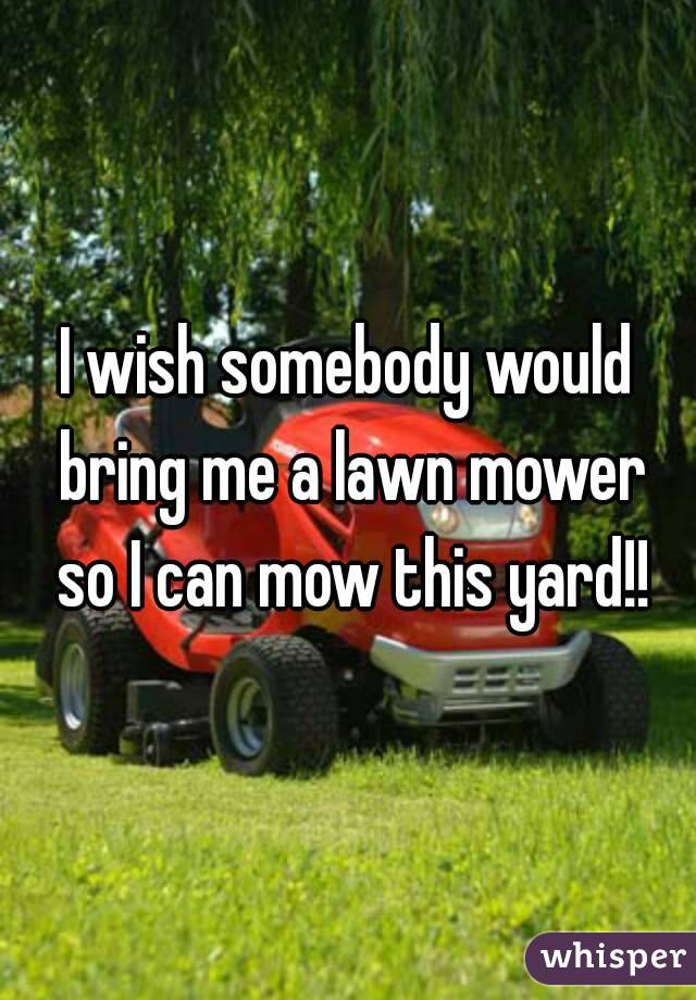 I wish somebody would bring me a lawn mower so I can mow this yard!!