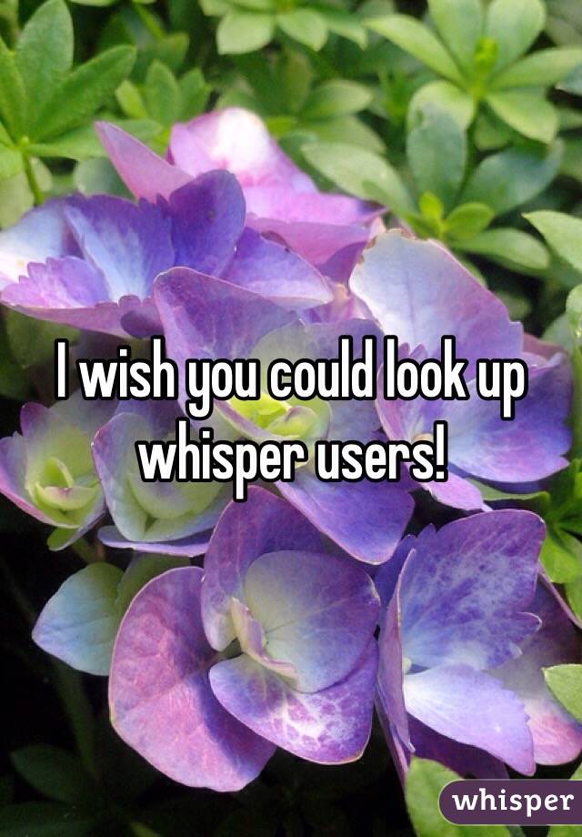 I wish you could look up whisper users!