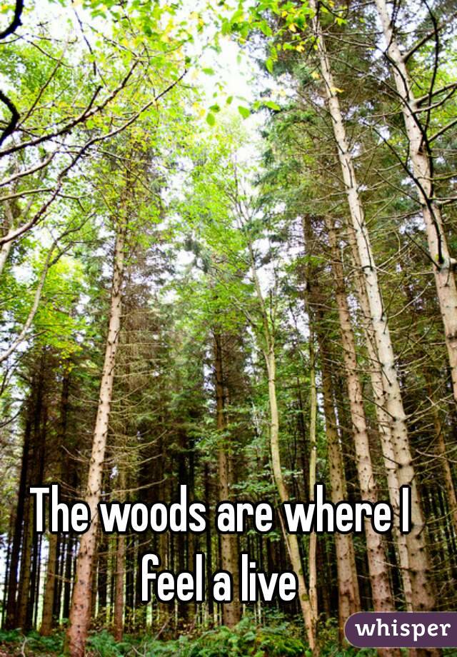 The woods are where I feel a live 