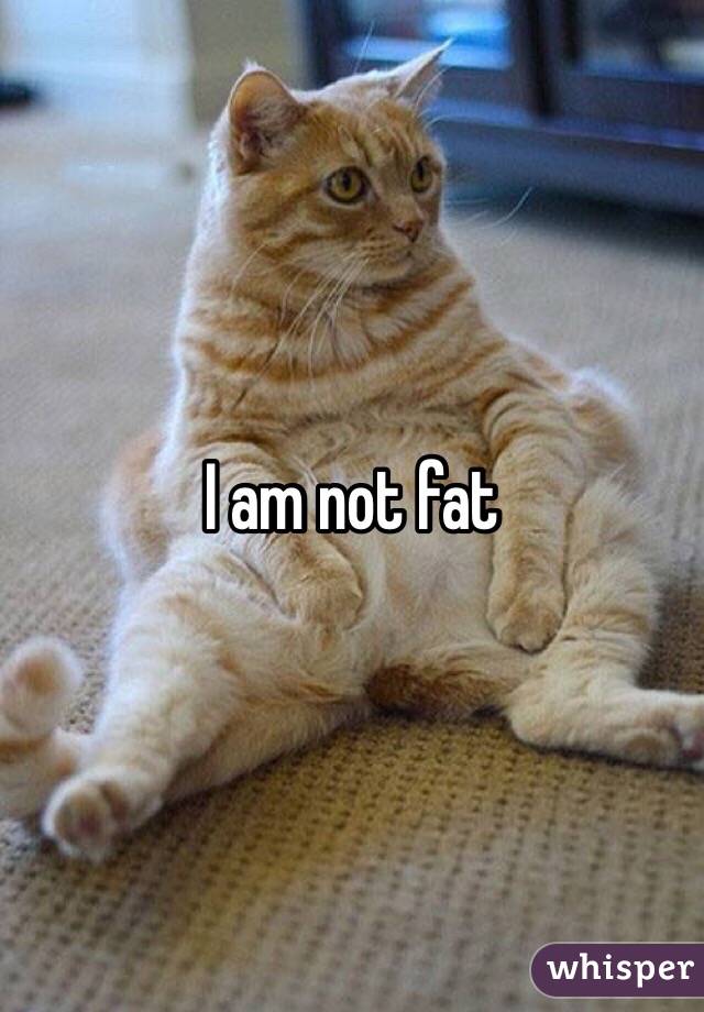 I am not fat