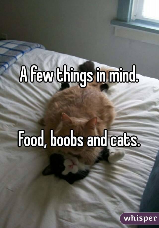 A few things in mind.


Food, boobs and cats.
