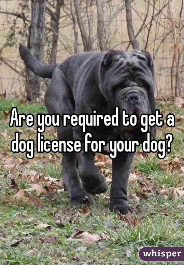 Are you required to get a dog license for your dog?