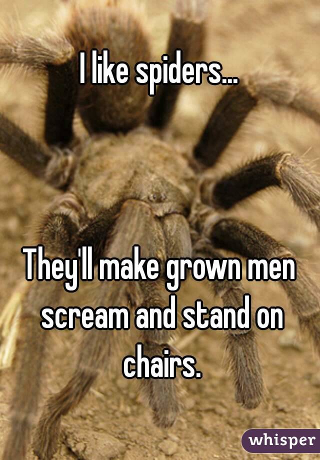 I like spiders...



They'll make grown men scream and stand on chairs.