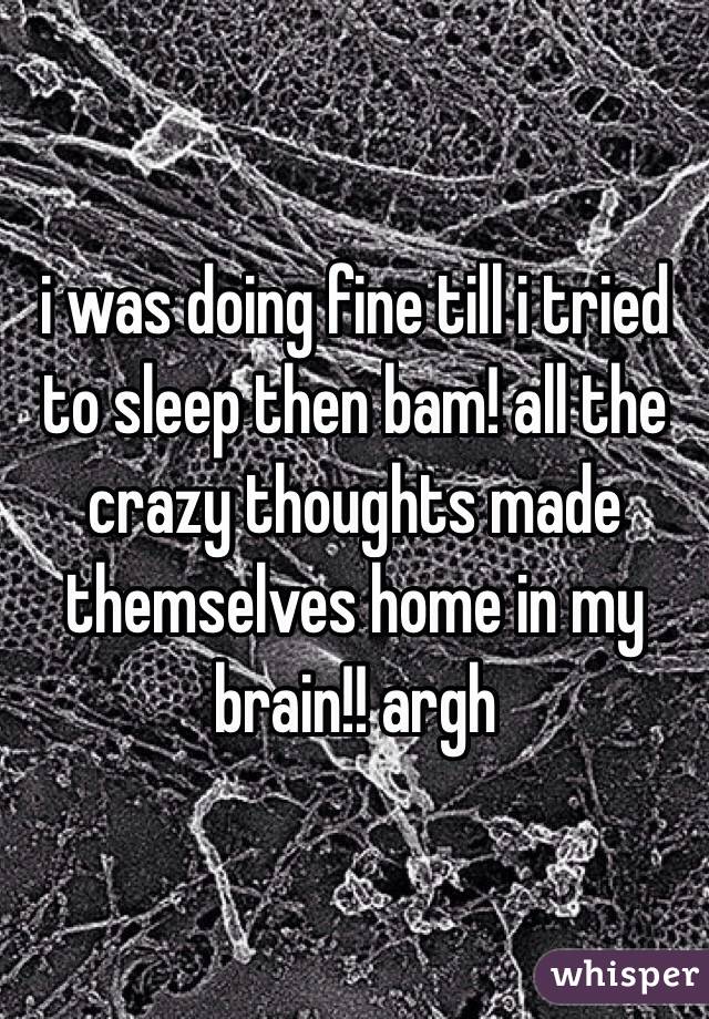 i was doing fine till i tried to sleep then bam! all the crazy thoughts made themselves home in my brain!! argh 