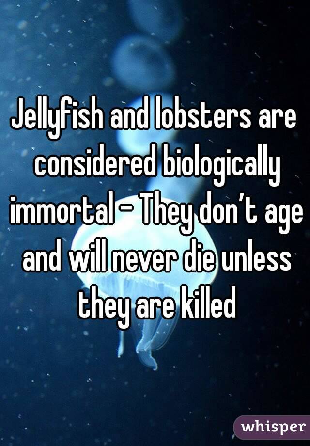 Jellyfish and lobsters are considered biologically immortal - They don’t age and will never die unless they are killed