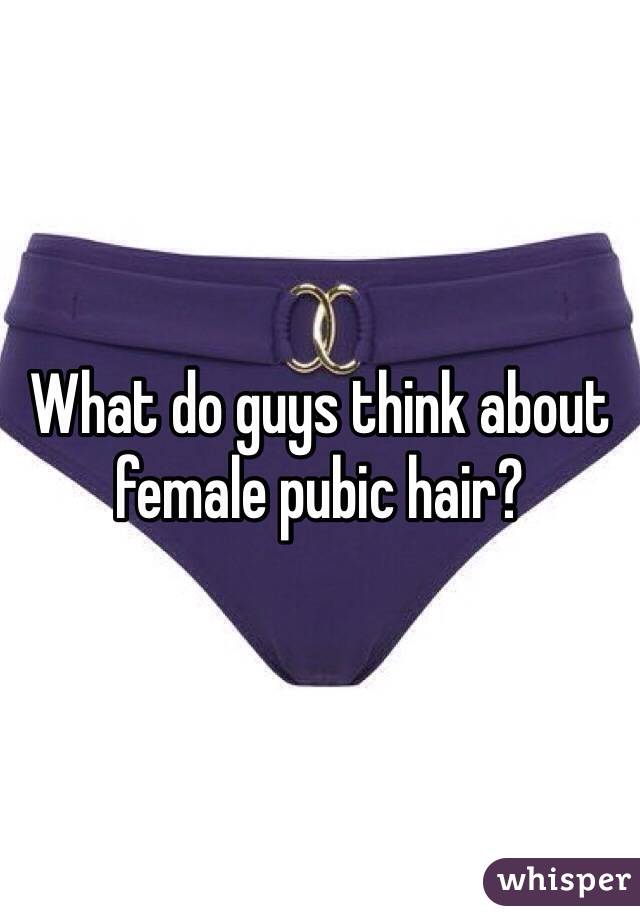 What do guys think about female pubic hair?