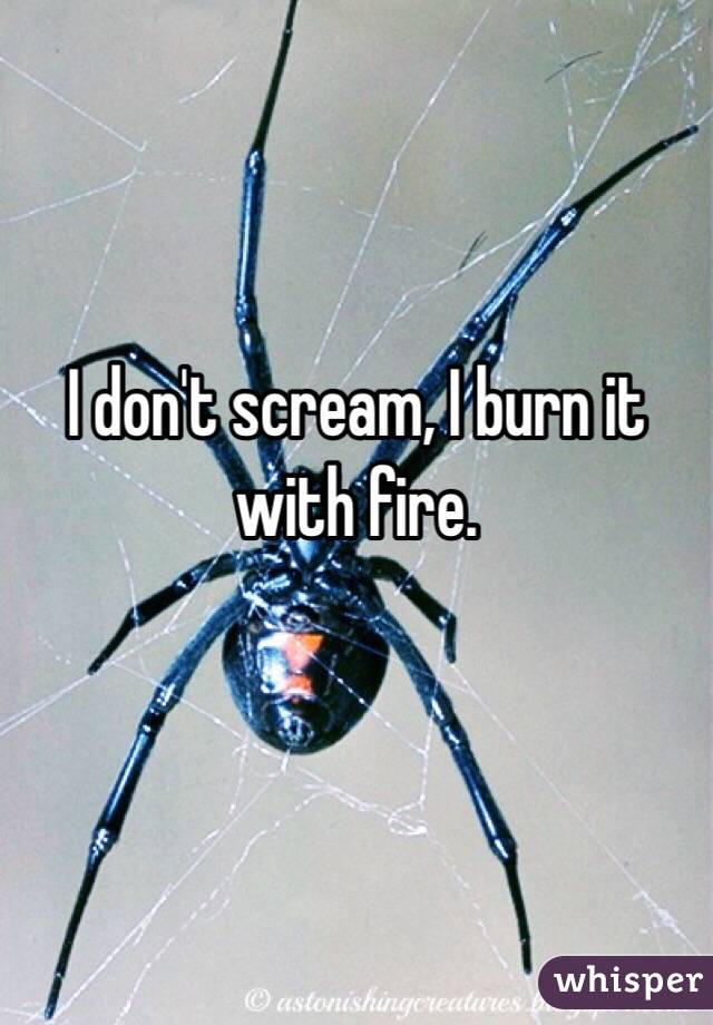 I don't scream, I burn it with fire.

