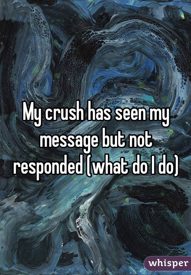 My crush has seen my message but not responded (what do I do)