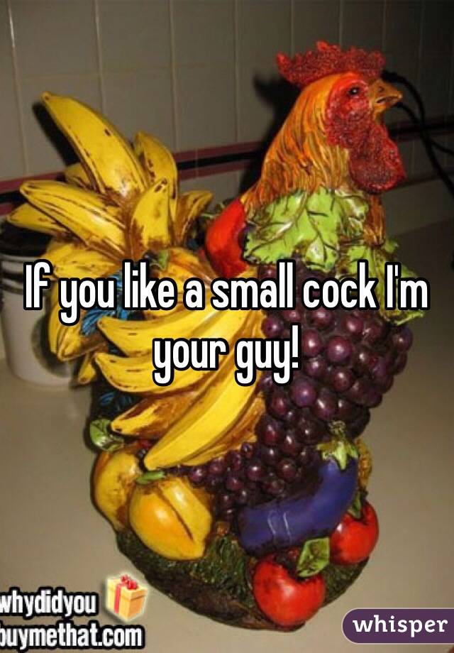 If you like a small cock I'm your guy! 