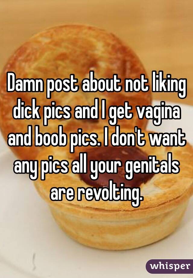 Damn post about not liking dick pics and I get vagina and boob pics. I don't want any pics all your genitals are revolting. 