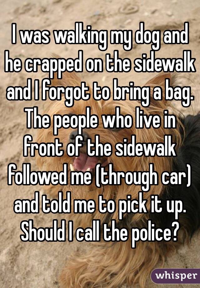 I was walking my dog and he crapped on the sidewalk and I forgot to bring a bag. The people who live in front of the sidewalk followed me (through car) and told me to pick it up. Should I call the police? 