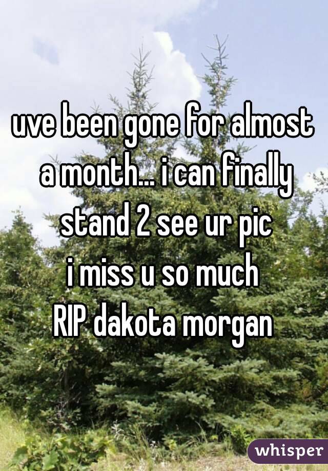 uve been gone for almost a month... i can finally stand 2 see ur pic
i miss u so much
RIP dakota morgan
