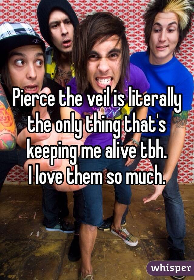 Pierce the veil is literally the only thing that's keeping me alive tbh.
I love them so much.