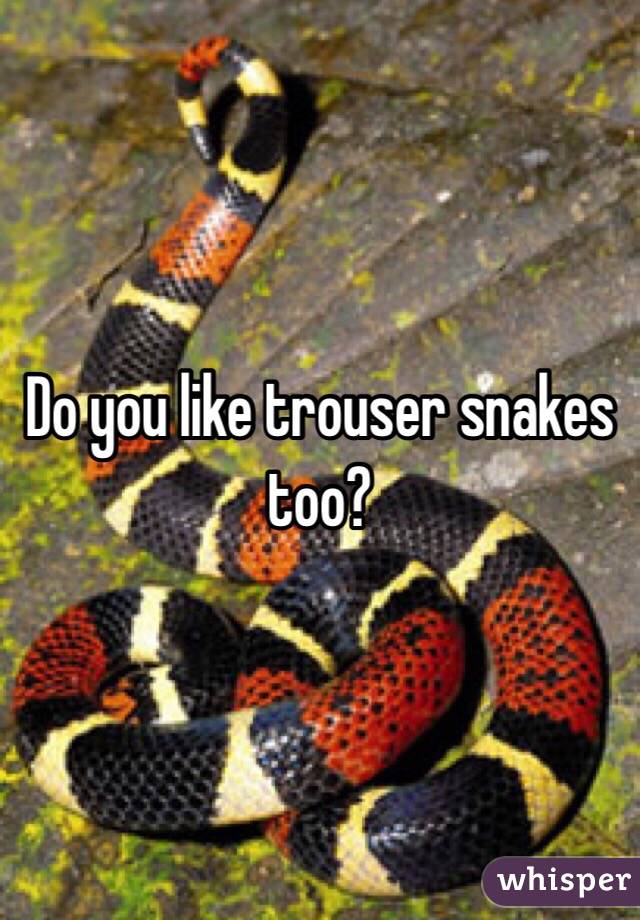Do you like trouser snakes too?