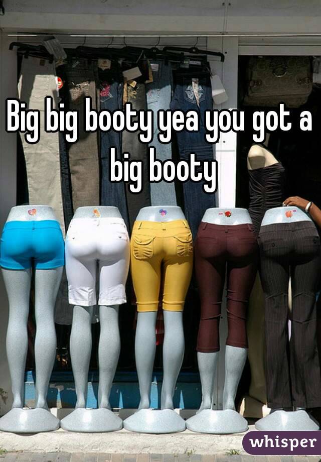 Big big booty yea you got a big booty
