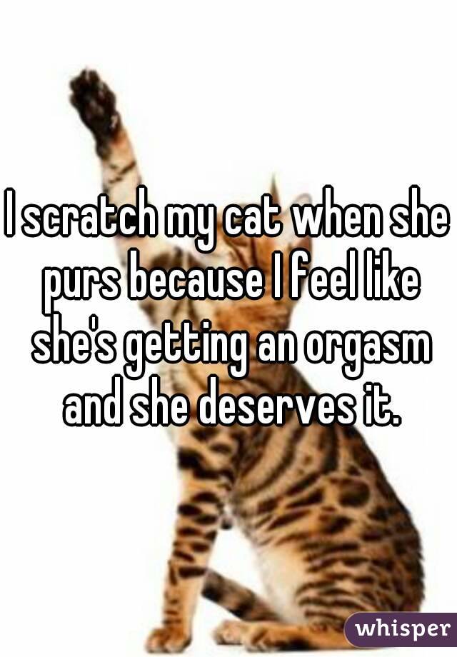 I scratch my cat when she purs because I feel like she's getting an orgasm and she deserves it.