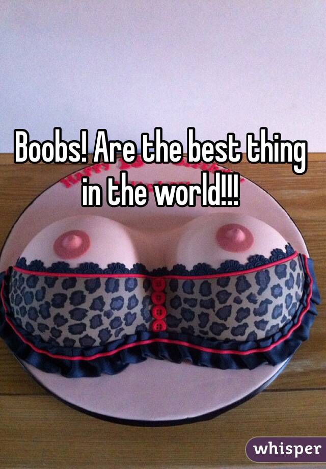 Boobs! Are the best thing in the world!!!