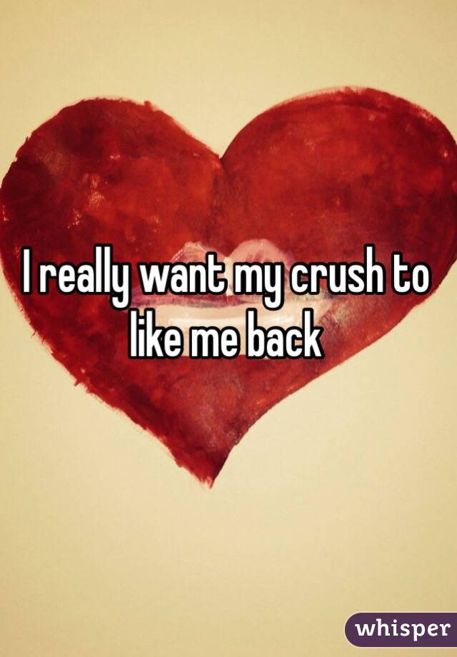 I really want my crush to like me back 