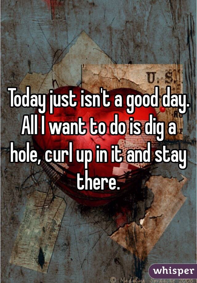 Today just isn't a good day. All I want to do is dig a hole, curl up in it and stay there. 