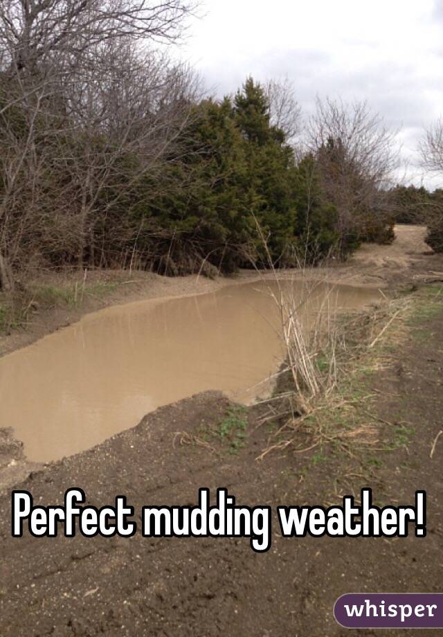 Perfect mudding weather!
