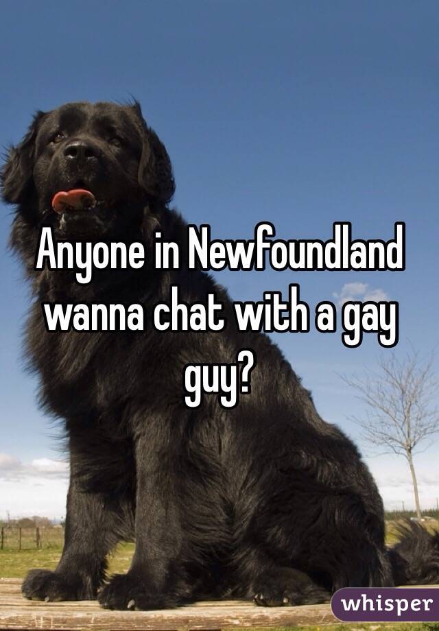 Anyone in Newfoundland wanna chat with a gay guy?