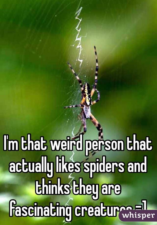 I'm that weird person that actually likes spiders and thinks they are fascinating creatures =]