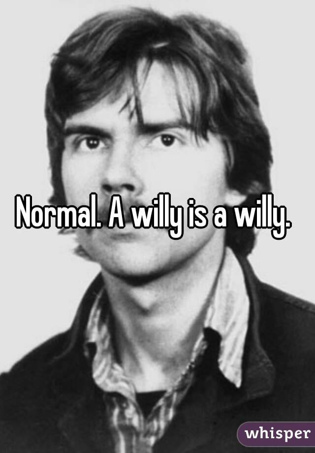 Normal. A willy is a willy. 