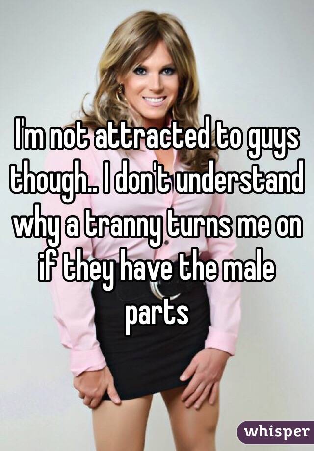 I'm not attracted to guys though.. I don't understand why a tranny turns me on if they have the male parts