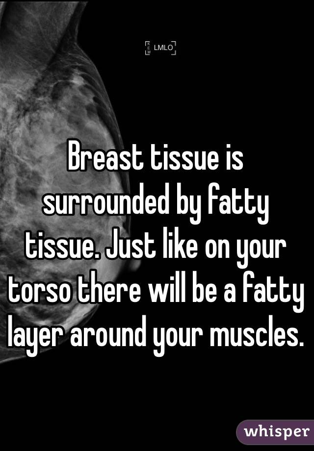 Breast tissue is surrounded by fatty tissue. Just like on your torso there will be a fatty layer around your muscles.