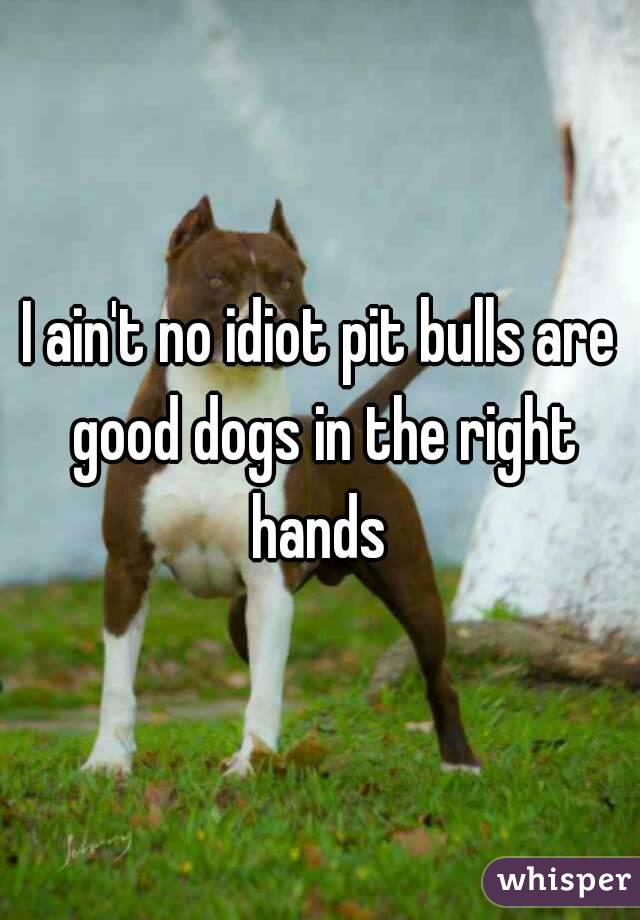 I ain't no idiot pit bulls are good dogs in the right hands 