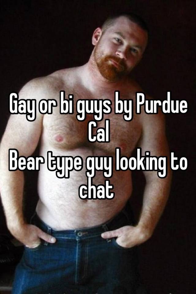 Gay bear chat
