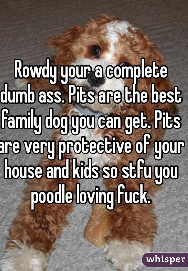 Rowdy your a complete dumb ass. Pits are the best family dog you can get. Pits are very protective of your house and kids so stfu you poodle loving fuck. 