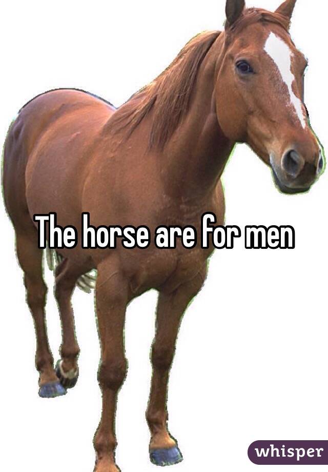 The horse are for men