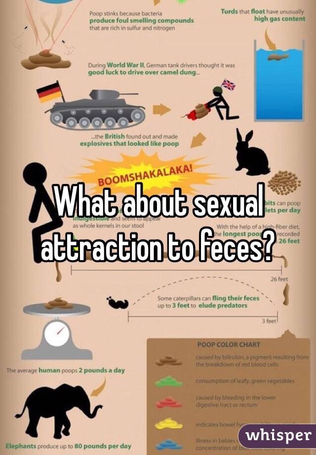 What about sexual attraction to feces?
