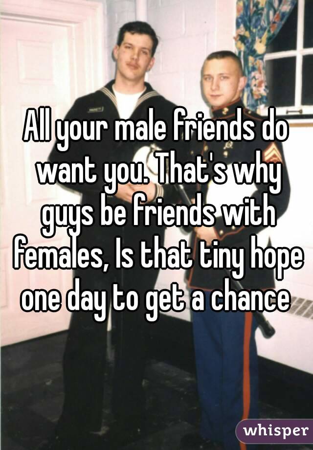 All your male friends do want you. That's why guys be friends with females, Is that tiny hope one day to get a chance 