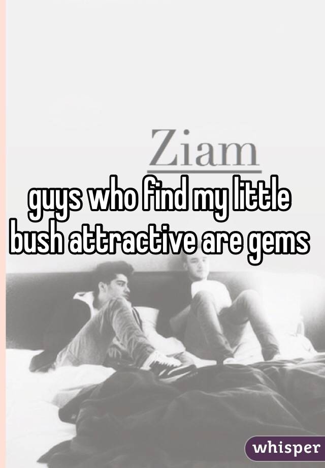 guys who find my little bush attractive are gems
